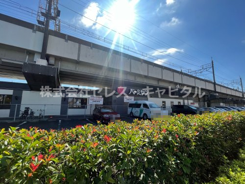 シテラピーヌ今川の周辺写真