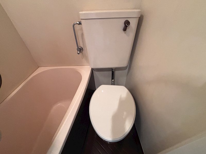 メゾン・ド・パルクIIIのトイレ写真