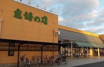 スーパー　主婦の店　宮田店（スーパー）まで557m