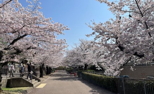 【フォルティナドムスの公園】