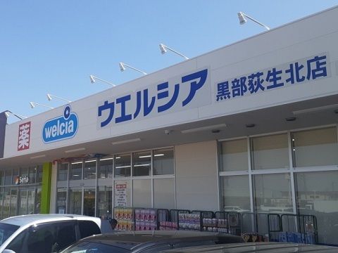 ドラックストア　ウエルシア黒部荻生北店（ドラッグストア）まで100m