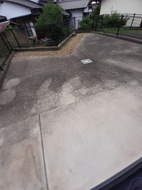 庭