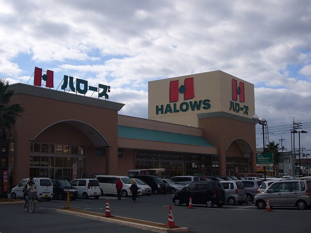 スーパー　ハローズ十日市店（スーパー）まで578m