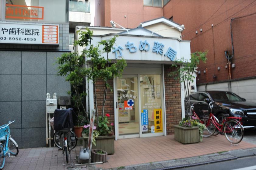 ドラックストア　かもめ薬局（ドラッグストア）まで174m