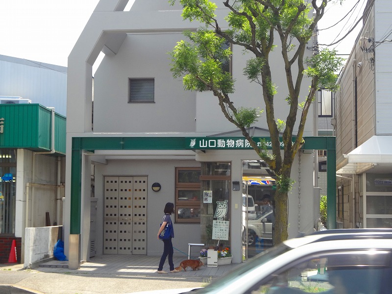 病院　山口動物病院（病院）まで300m