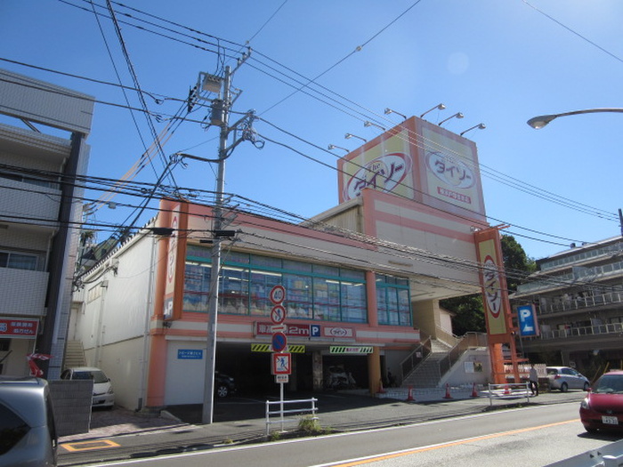 その他　ダイソー（その他）まで300m