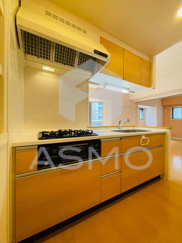 キッチン　同マンション別部屋参考写真