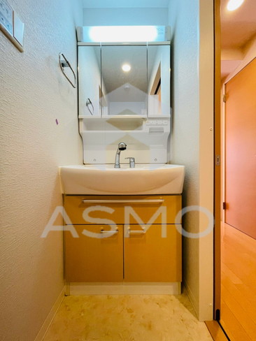 洗面設備　同マンション別部屋参考写真