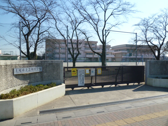 小学校　上尾市立芝川小学校（小学校）まで262m