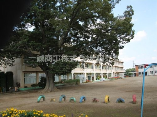小学校　本郷小学校（小学校）まで1000m