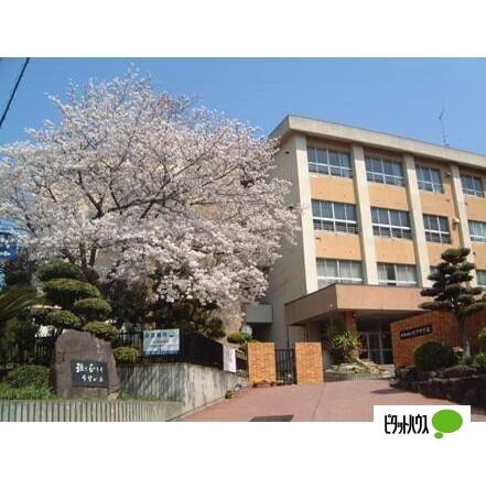 中学校　和歌山市立紀伊中学校（中学校）まで743m