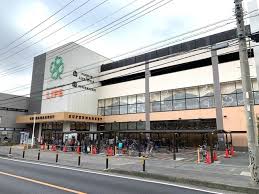 スーパー　ライフ宮内二丁目店（スーパー）まで331m