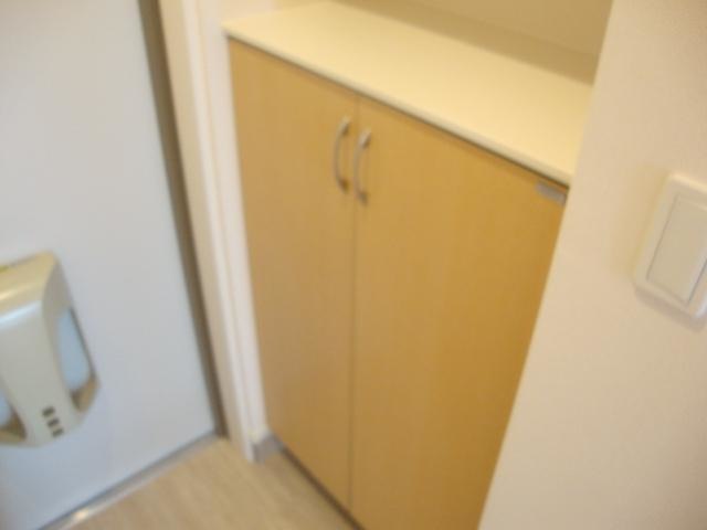 玄関　※同タイプの部屋写真です