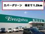 ドラックストア　エバーグリーン様（ドラッグストア）まで1200m
