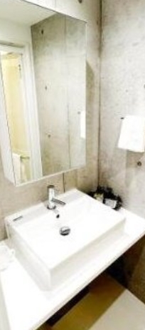 洗面設備　別タイプ部屋　参考写真です