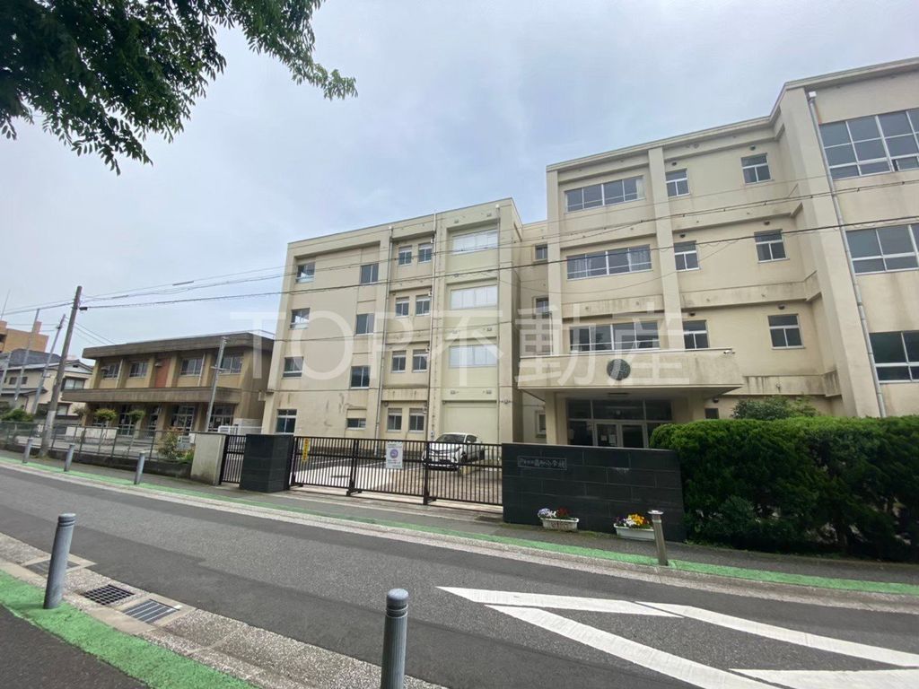 小学校　千葉市立轟町小学校（小学校）まで990m