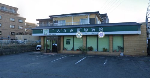 病院　ふかみ動物病院（病院）まで318m