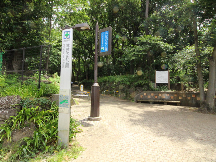公園　林試の森公園（公園）まで220m