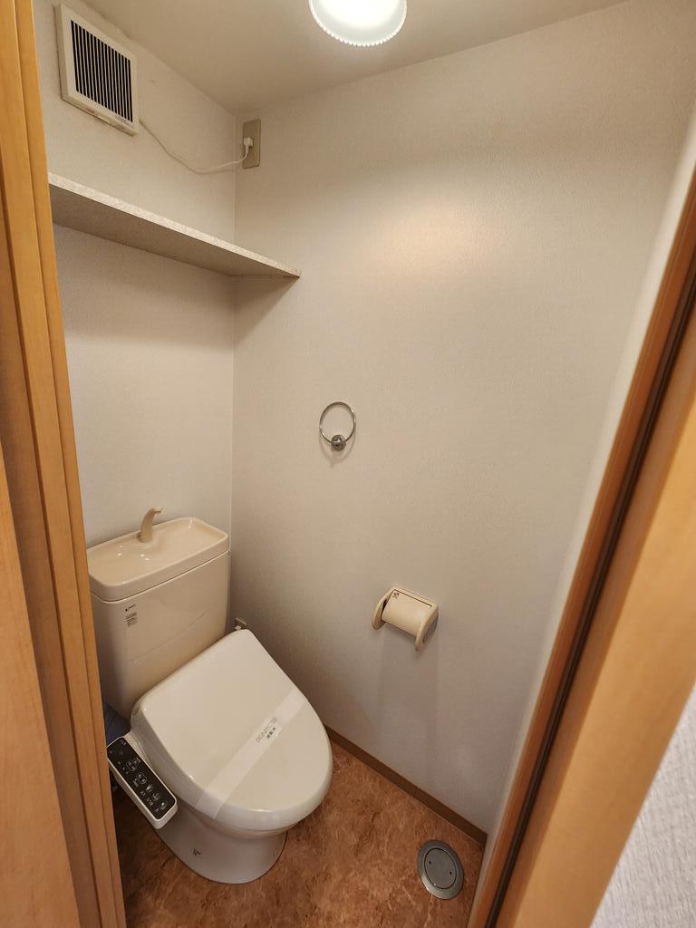 東古松S-1ビルのトイレ写真