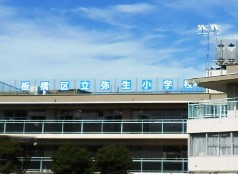 小学校　板橋区立弥生小学校（小学校）まで497m