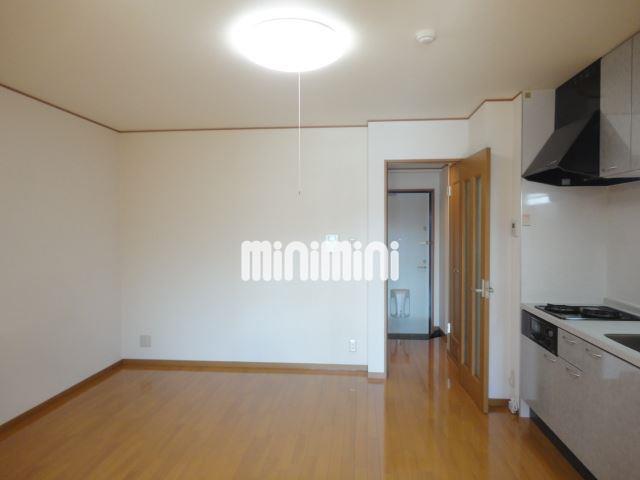 居室・リビング　照明器具もついています