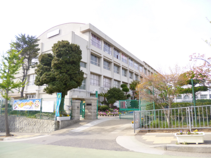 小学校　白川小学校（小学校）まで915m