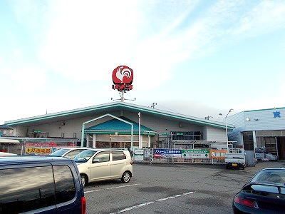 ホームセンター　コメリ五十公野店（ホームセンター）まで700m
