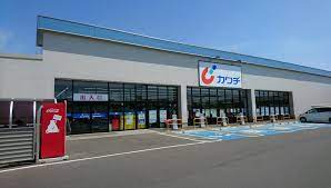 ドラックストア　カワチ薬品 守谷松並店（ドラッグストア）まで2064m