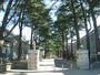 公園　あがたの森公園（公園）まで1339m