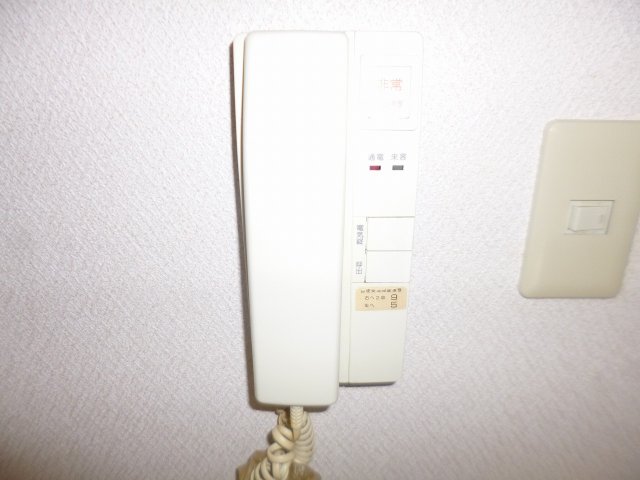 APEX FLAT Rのその他写真