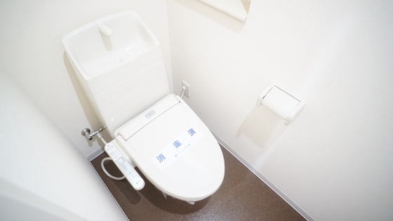 ブルースカイマンションXのトイレ写真
