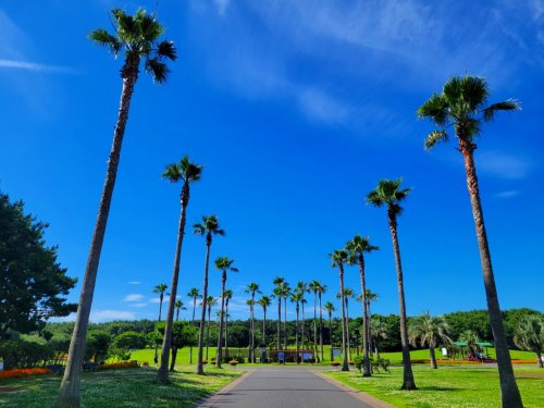公園　辻堂海浜公園（公園）まで1734m