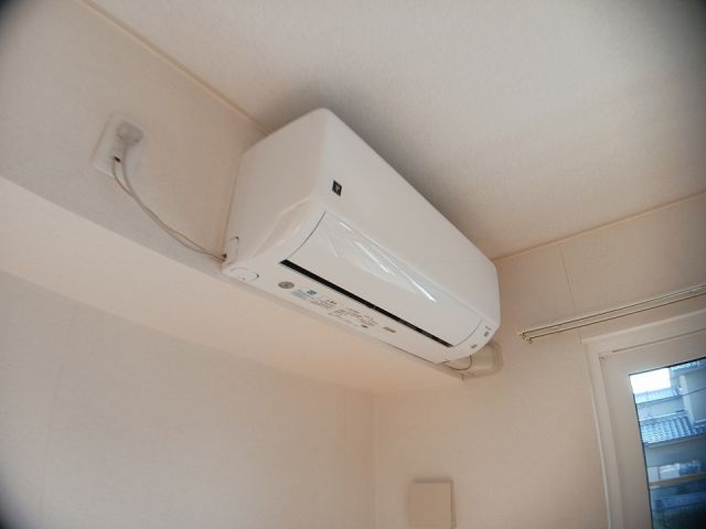 プラシードのその他写真