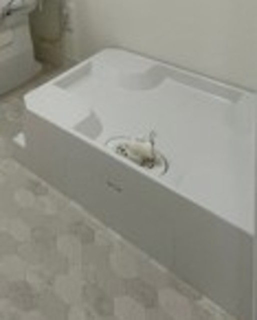 その他　室内洗濯機置場