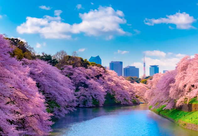 【東急ドエル・グラフィオ麹町の公園】