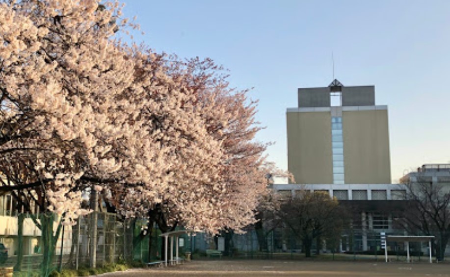 【（仮称）富士見市針ケ谷1丁目A計画の大学・短大】