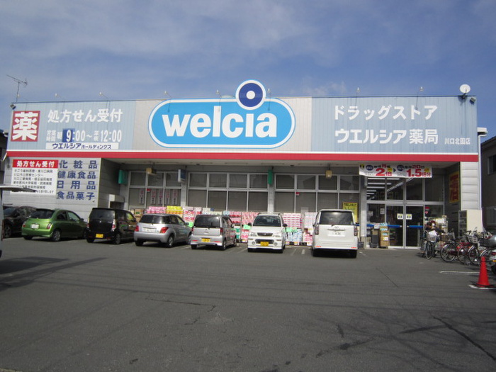 ドラックストア　ウエルシア（ドラッグストア）まで500m