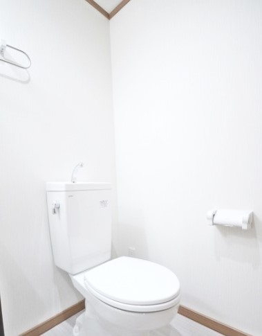 ＪＲ総武線 西千葉駅 徒歩9分 2階建 築10年のトイレ写真