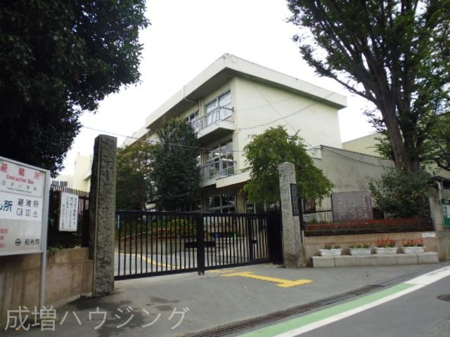 小学校　白子小学校（小学校）まで52m