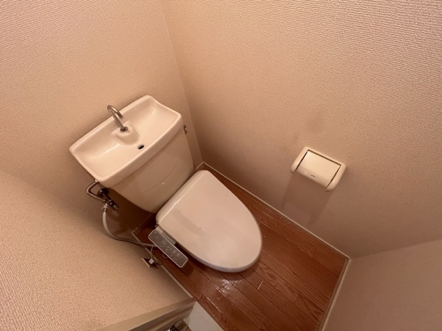 ビューバレー桑野のトイレ写真