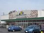 スーパー　ニシナフードバスケット神田店（スーパー）まで369m