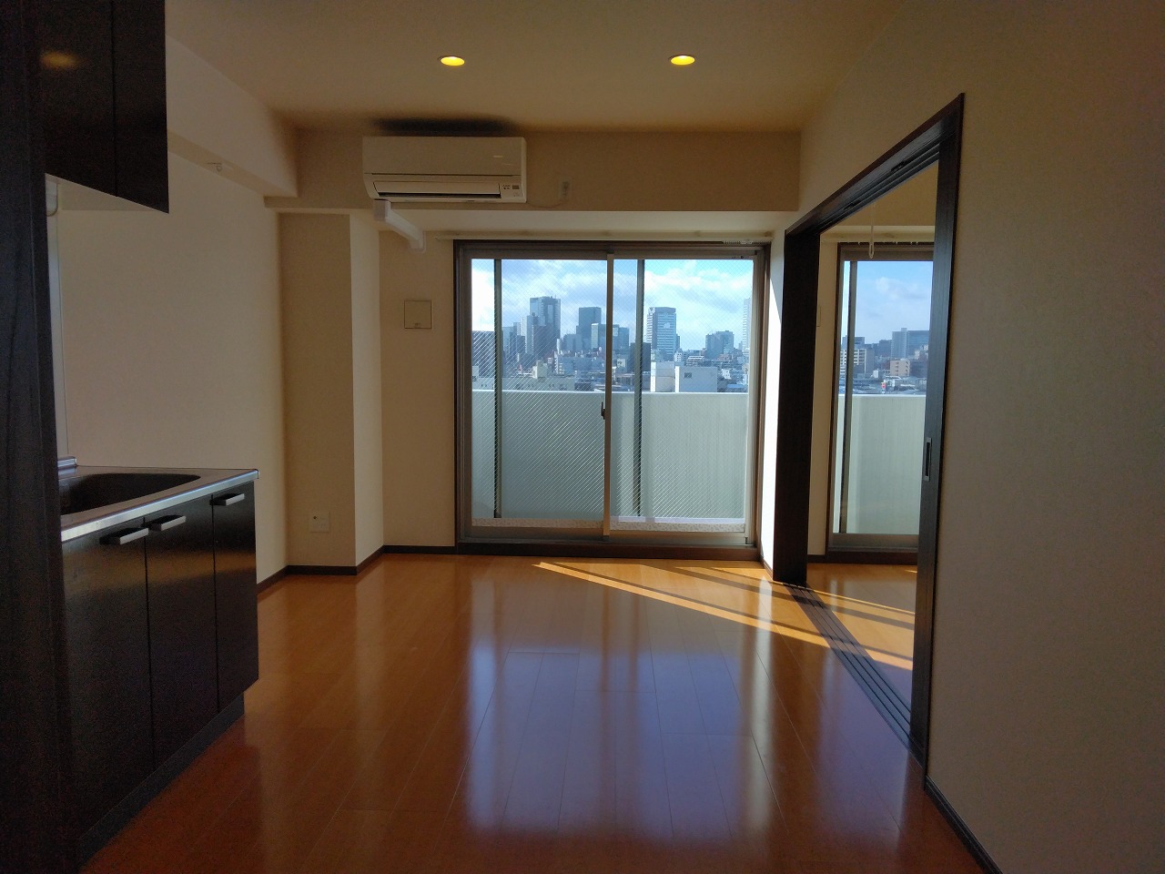 居室・リビング　南向き日当たり良好