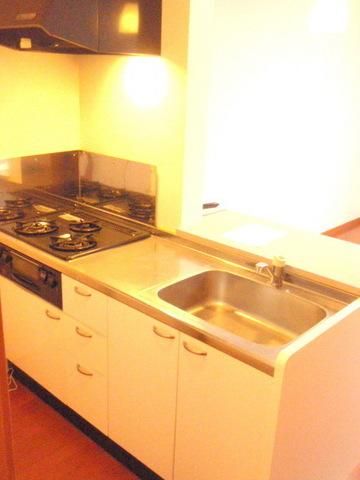 キッチン　長ーいカウンターキッチンは３口＋グリル付き！！