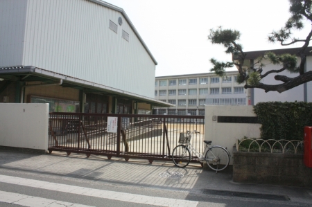 小学校　堺市立 鳳小学校（小学校）まで638m