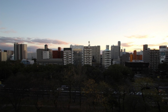 眺望　※別部屋の写真です