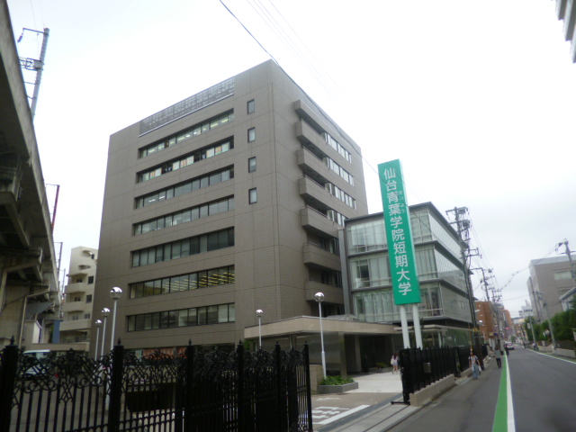 大学・短大　私立仙台青葉学院短期大学（大学・短大）まで532m