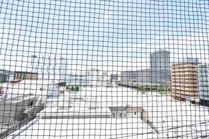 眺望　エントランス