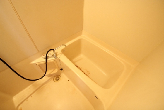 バス・シャワールーム　※別部屋の写真です