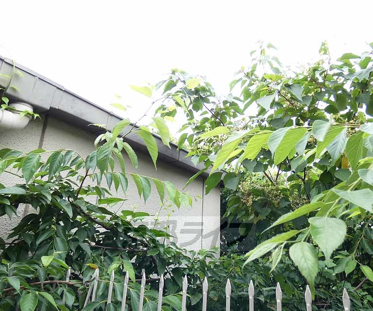 眺望　３０５号室からの眺望です