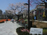 公園　新宿区立富久さくら公園（公園）まで543m